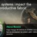 How AI Systems Impact the Italian Productive Fabric - cover EN
